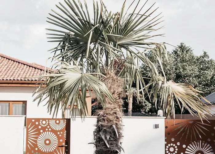 Luxury Wellness Ii. Villa *